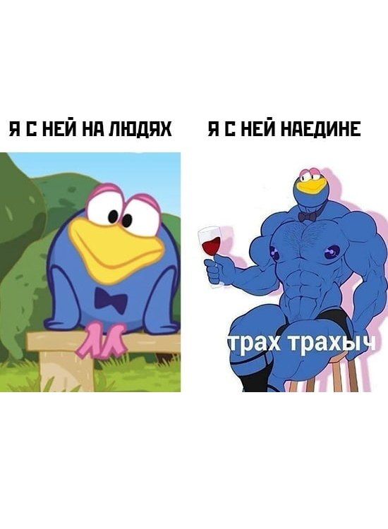 я нвй нп людях и нвй ндЕдинн