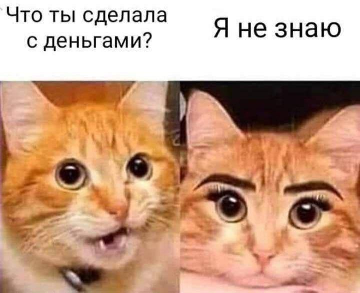 Что ты сделала деньгами Янезнаю _