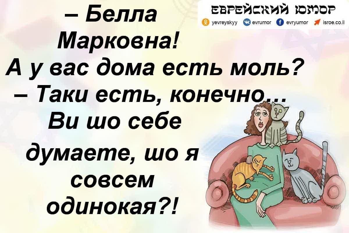 __ Белла свайкий хото о о Марковна А у вас дома есть моль Таки есть конечно совсем одинокая