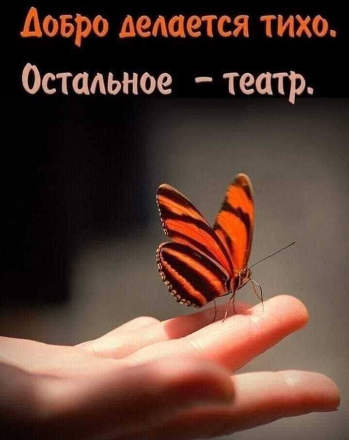 аоврэ ведается тихо Остадьное театр