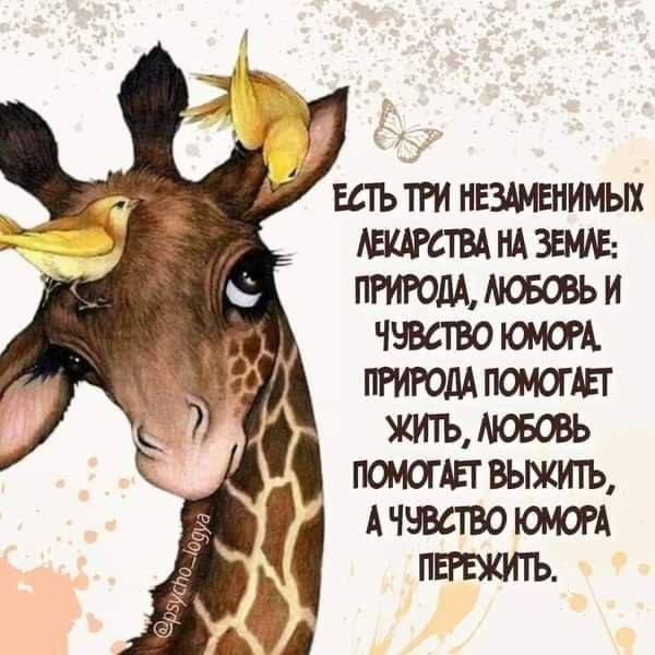 шътги назании мшты НА пгиюммововь и ччвствотщ пгиюм помощ г ымтьмвовь помоги вьькитъ А чьвсгво юмоп пвгвкить