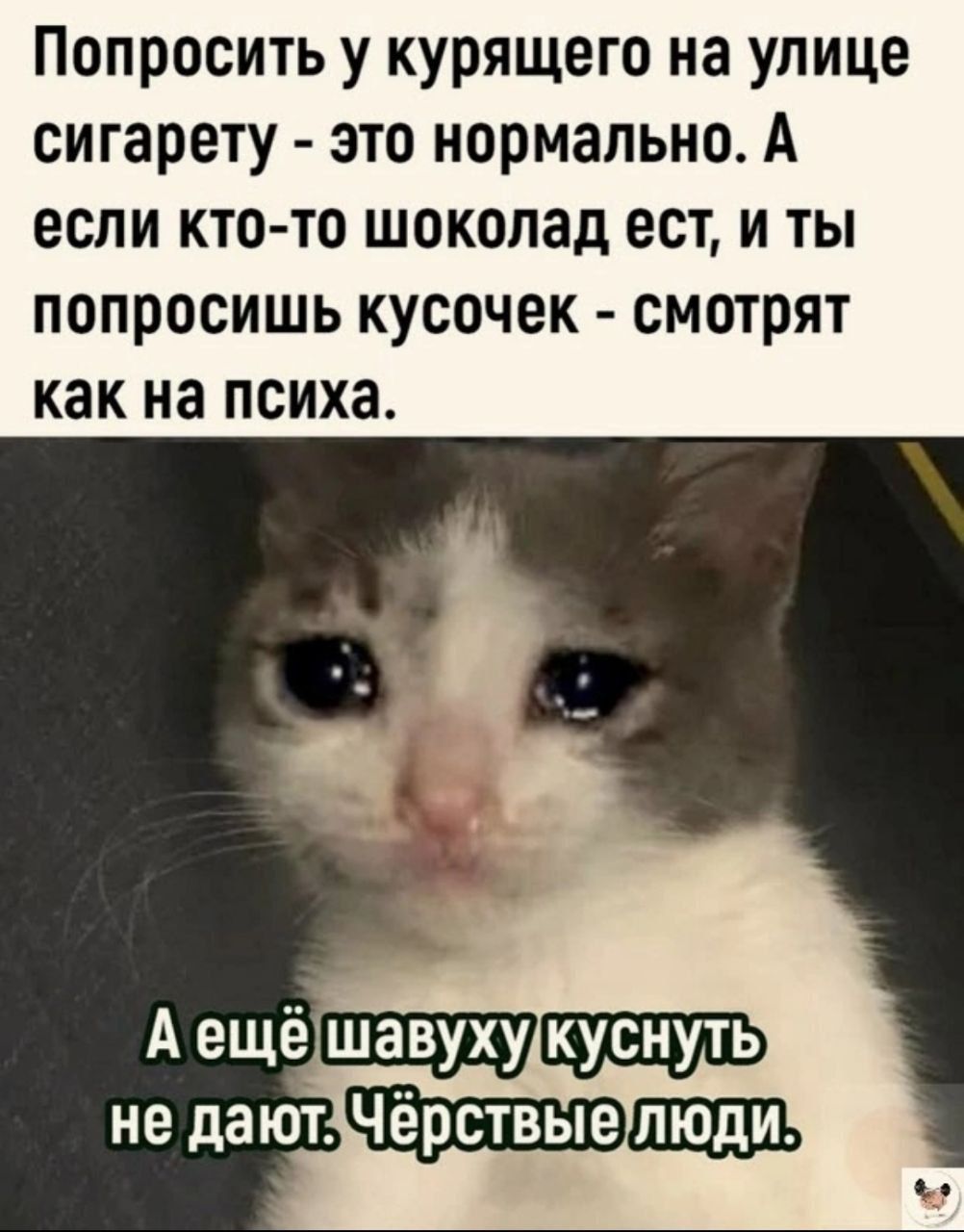 Попросить у курящего на улице сигарету это нормально А если кто то шоколад ест и ты попросишь кусочек смотрят как на психа