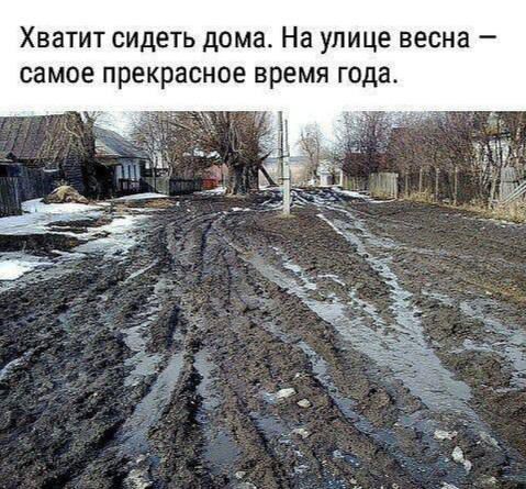 Хватит сидеть дома На улице весна самое прекрасное время года