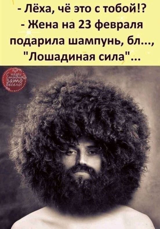 Лёха чё это с тобой Жена на 23 февраля подарила шампунь бл Лошадиная сила