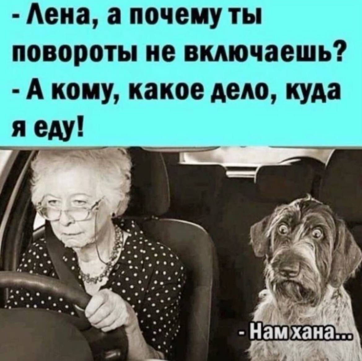 Аеиа а почему ты повороты не включаешь А кому какое дело куда я еду