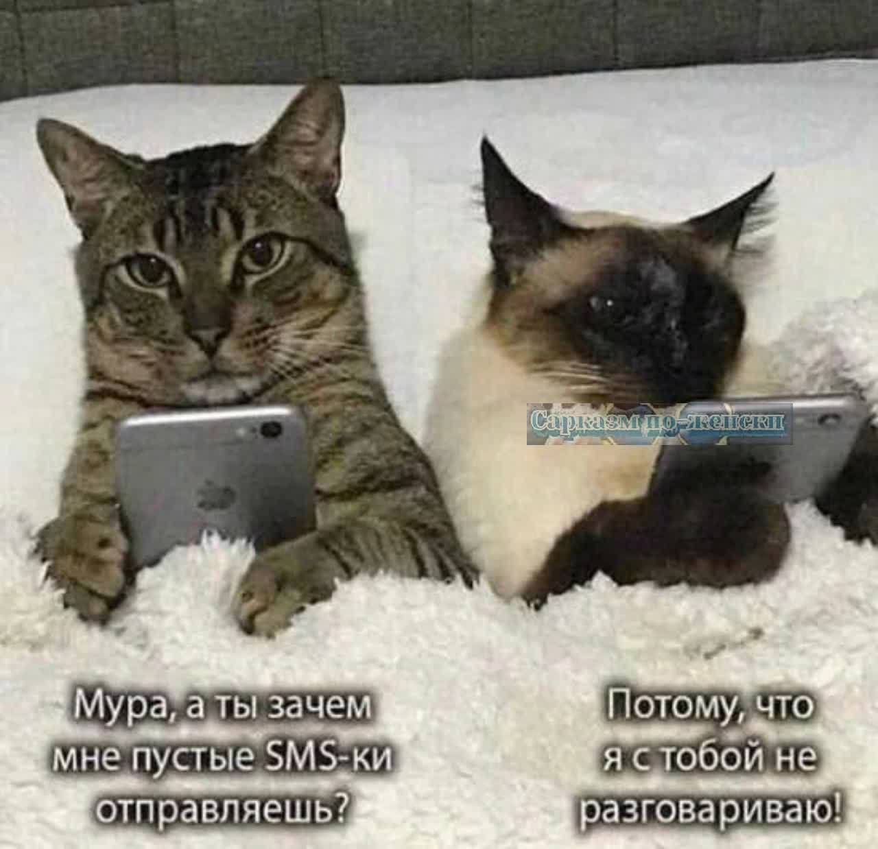Мура а ты зачем Потому что мне пустые 5М5 ки я стобой не