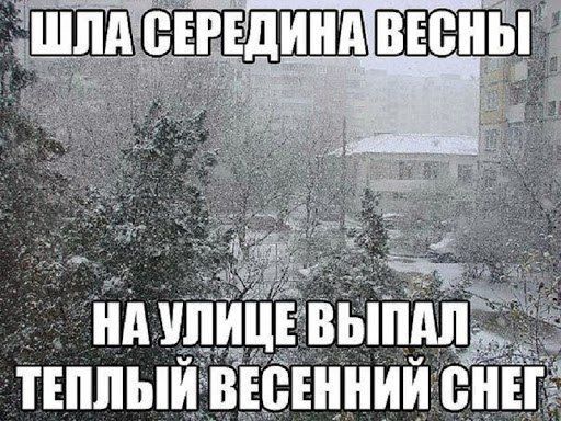 ШШЫП В ЕИИИИ ЁИЕ