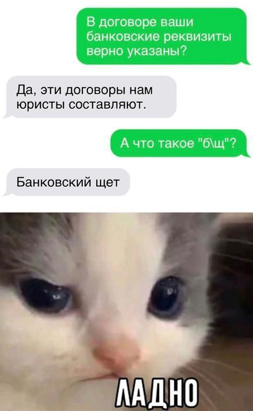 Да эти договоры нам юристы составляют Банковский щет