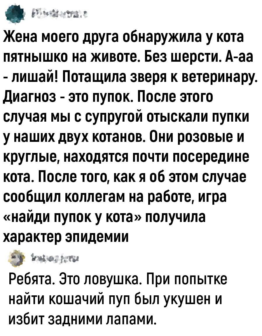 г и__ Жена моего друга обнаружила у кота пятнышко на животе Без шерсти Ааа лишай Потащипа зверя к ветеринару диагноз это пупок После этого случая мы с супругой отыскали пупки у наших двух котанов Они розовые и круглые находятся почти посередине кота После того как я об этом случае сообщил коллегам на работе игра найди пупок у кота получила характер эпидемии 9 не Ребята Это ловушка При попытке найт