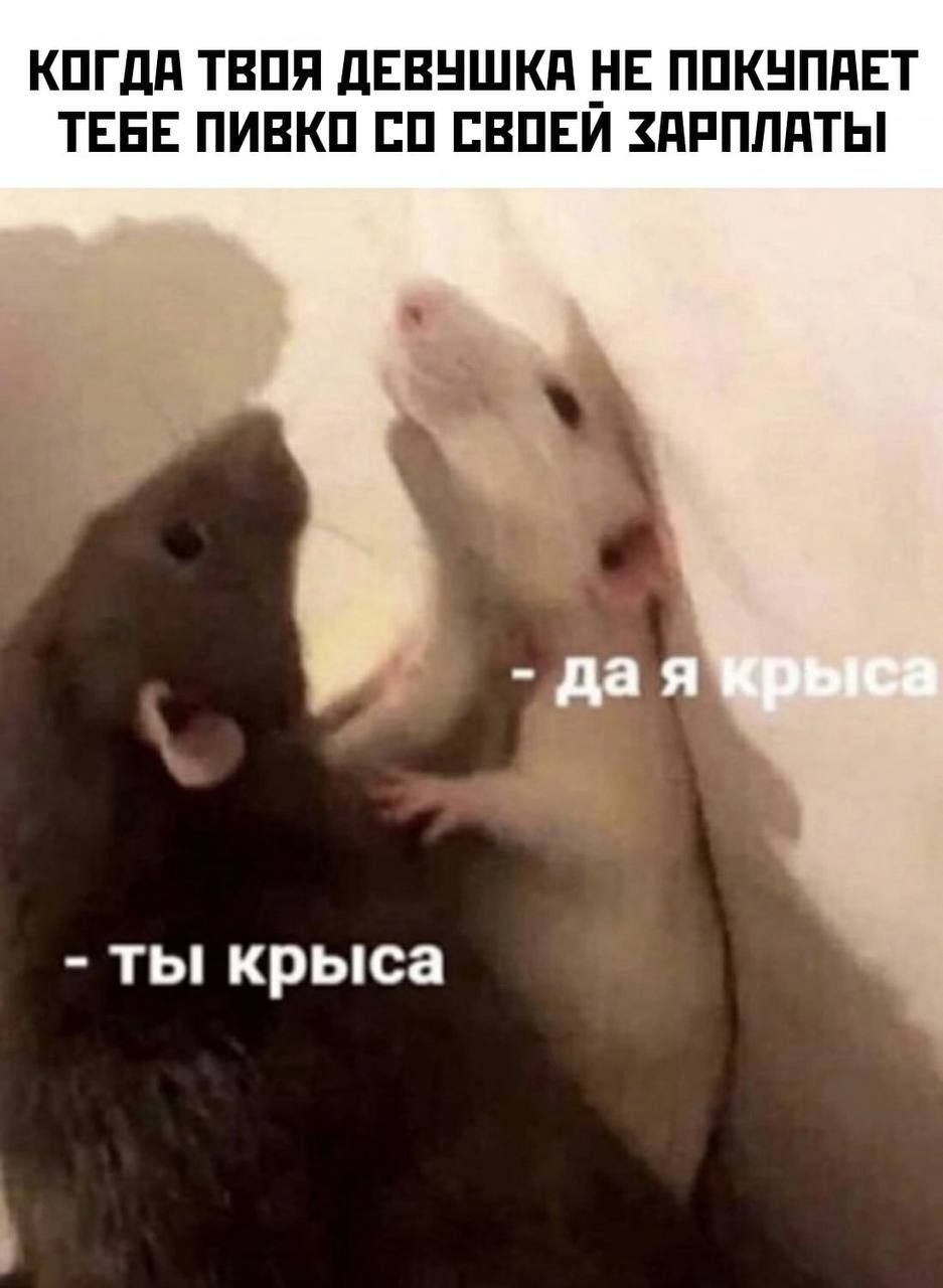 КПГдд ТВПЯ ДЕВНШКЯ НЕ ППКНППЕТ ТЕБЕ ПИВКП ЕП ЕВПЕИ ЗПРППАТЫ ты крыса