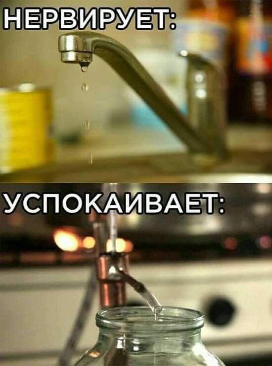 яч УСПОКАИВАЁТ