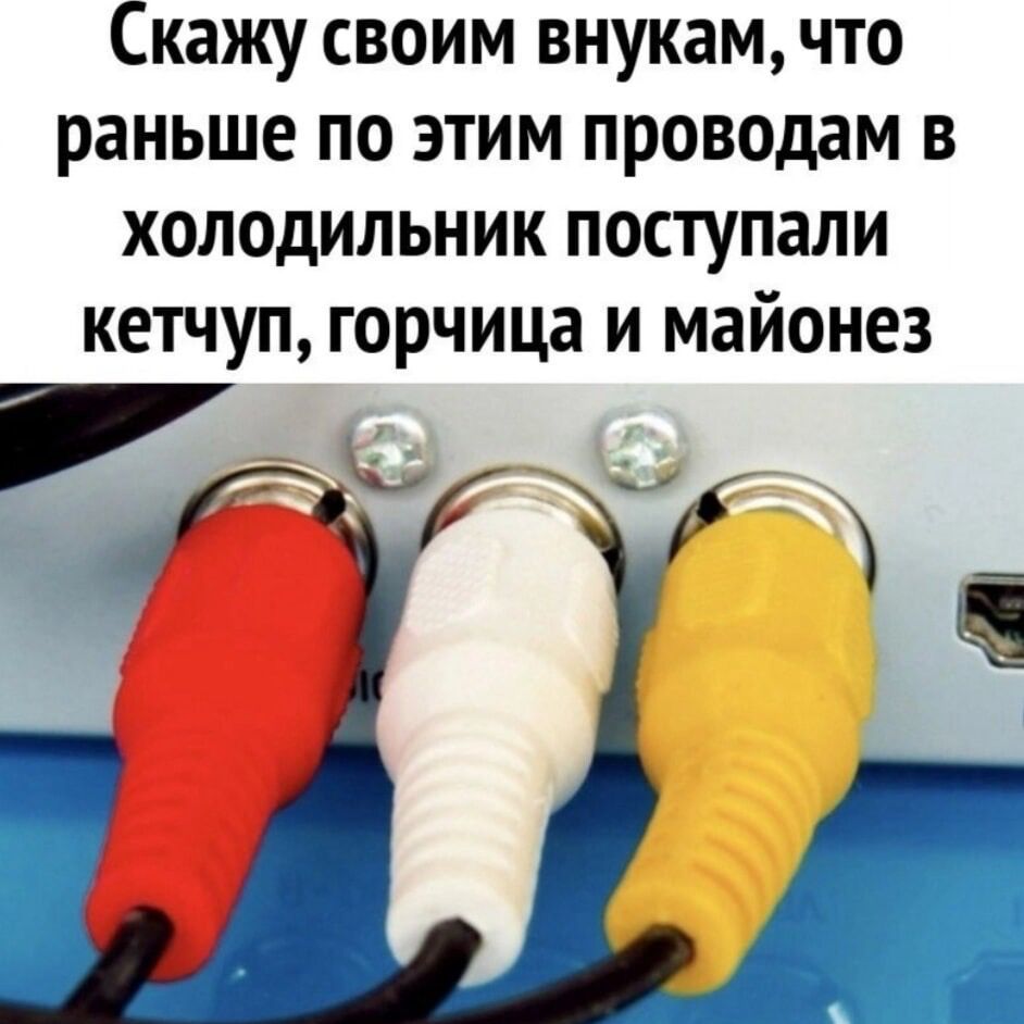 Скажу своим внукам что раньше по этим проводам в холодильник поступали кетчуп горчица и майонез