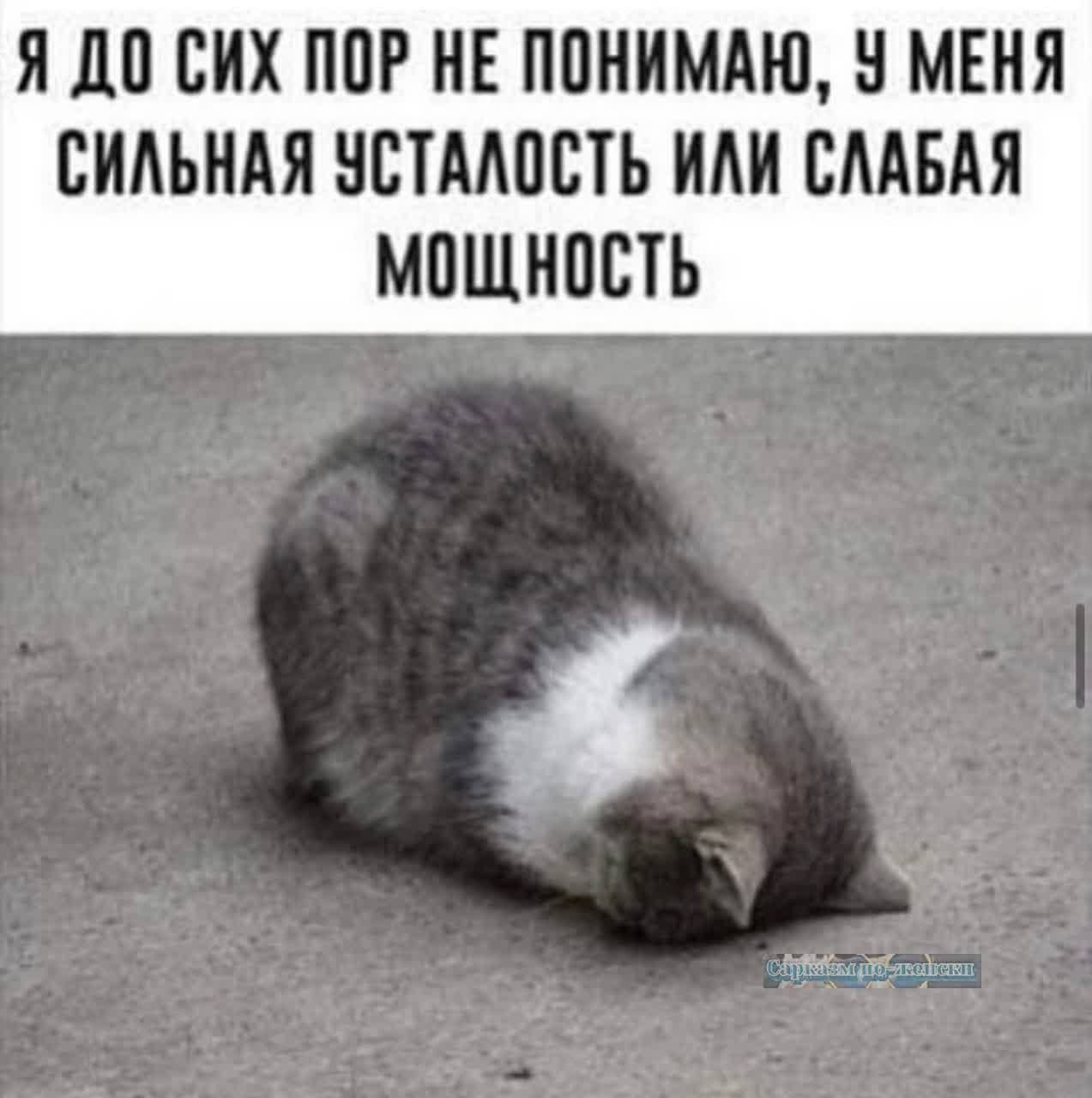 Я до СИХ ПВР НЕ ППНИМАЮ Ч МЕНЯ ЕИАЪНАЯ ЗБТМПЕТЪ ИМ БМБАЯ МПШНПВТЪ