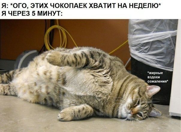 Я 0Г0 ЭТИХ ЧОКОПАЕК ХВАТИТ НА НЕДЕЛЮ Я ЧЕРЕЗ 5 МИНУТ