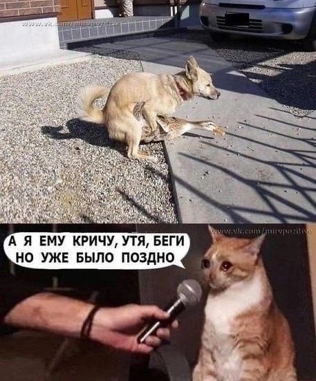 А Я ЕМУ КРИЧУУТЯБЕГИ Н УЖЕ БЫПФ Поздно