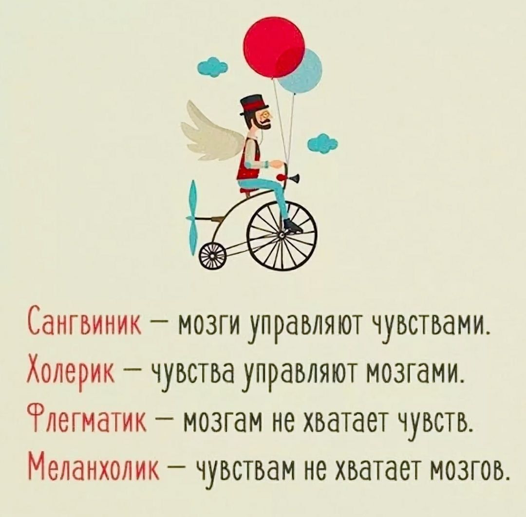 Сангвиник мозги управляют чувствами Холерик чувства управляют мозгами Члегиатик мозгам не хватает чувств Меланхолик чувствам не хватает мозгов