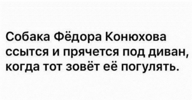 Собака Фёдора Конюхова ссытся и прячется под диван когда тот зовёт её погулять