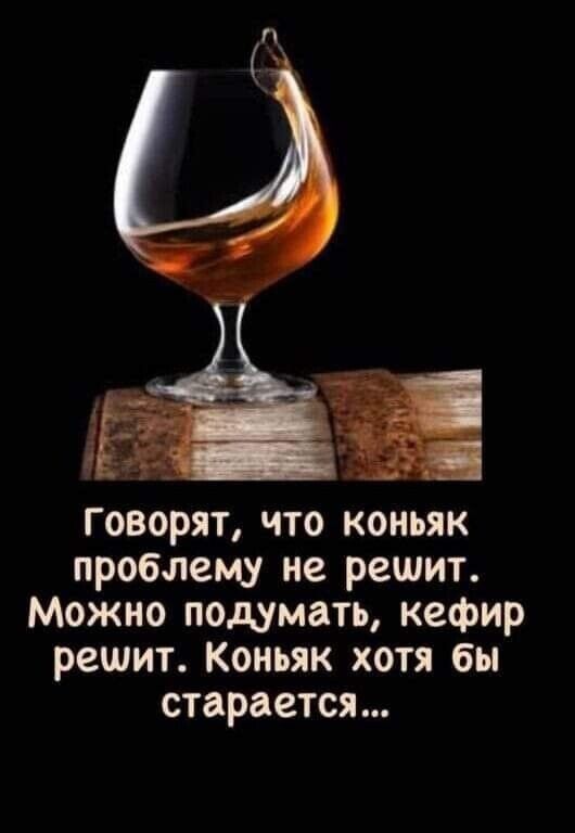 Говорят что коньяк проблему не решит Можно подумать кефир решит Коньяк хотя бы старается