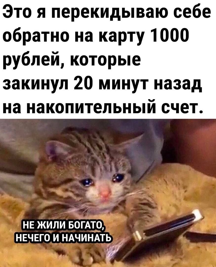 Это я перекидываю себе обратно на карту 1000 рублей которые закинул 20 минут назад на накопительный счет д НЕ ЖИЛИ БОГАТО НЕЧЕГО И НАЧИНАТЬ і