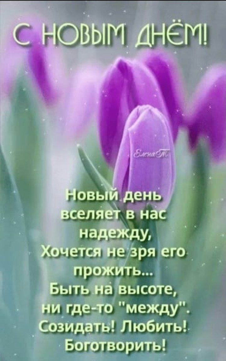 чом ли тёти Щ ш Е Савинцы Ездили Зишюишпдг
