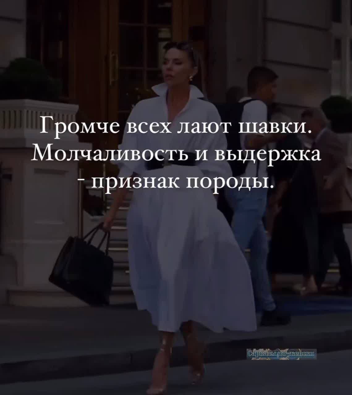 Громче всех лают шавки Молчаливость и выдержка признак породы