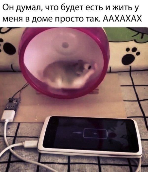 Он думал что будет есть и жить у меня в доме просто так ААХАХАХ