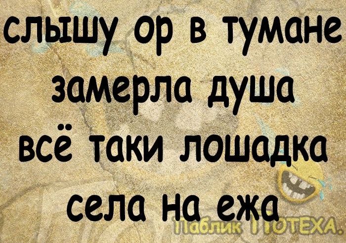 слышу ор в тумане замерла душа _ все Таки лошадка села на _ежа 19 ЯЗо