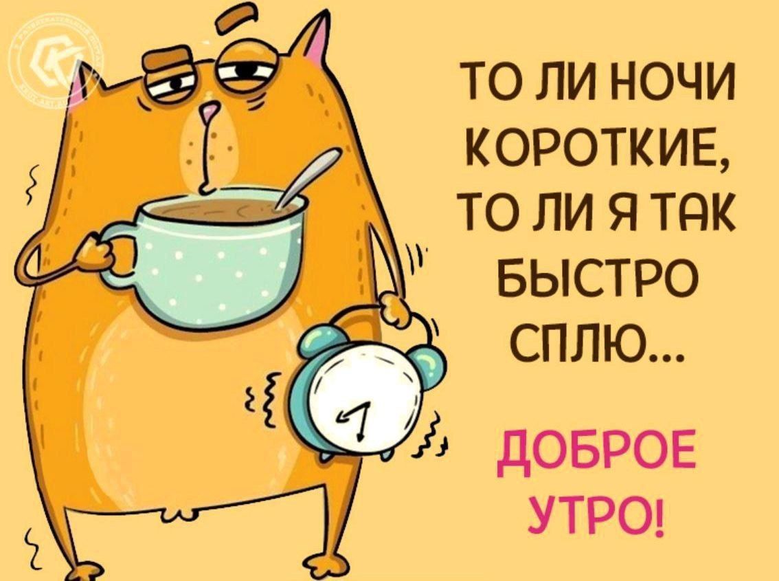 ТО ЛИ НОЧИ КОРОТКИЕ ТО ЛИ Я ТПК БЫСТРО СПЛЮ дОБРОЕ У ТРО