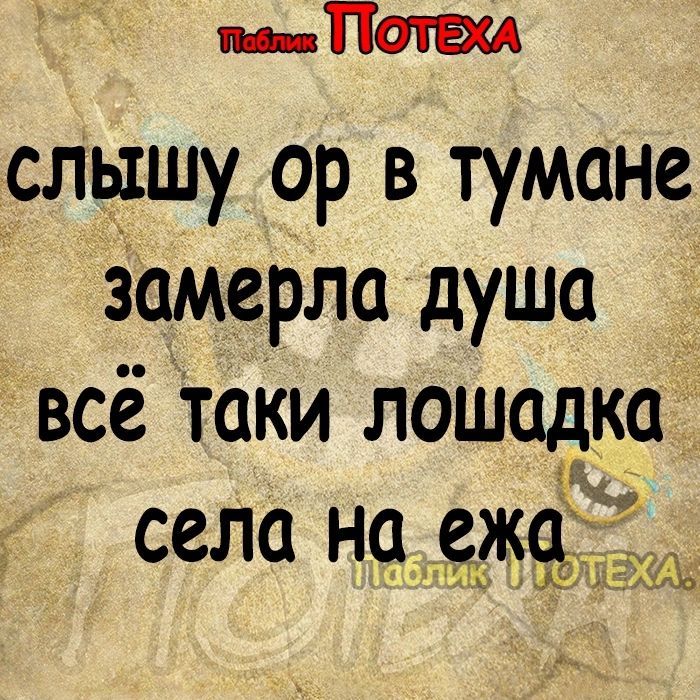 иПт слышу ор В тумане замерла душа всё таки лошадка сели НЧЁЗЁ