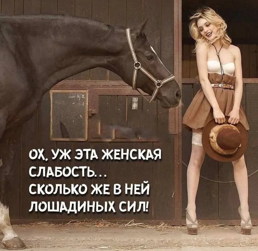 ох уж зтд жвнскдя слдвость сколько жв в ней лошщиньлх сит