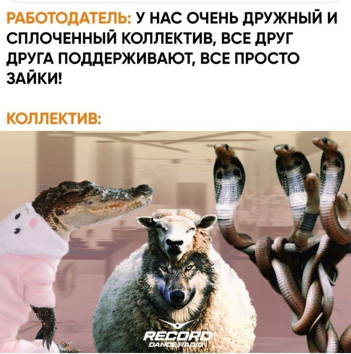 у ндс очень дружный и сплоченный коллектив все друг дРУГА поддерживдют все просто ЗАЙКИ