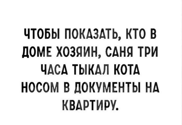 ЧТОБЫ ПОКАЗАТЬ КТО В дОМЕ ХОЗЯИН САНЯ ТРИ ЧАСА ТЫКАЛ КОТА НОСОМ В ДОКУМЕНТЫ НА КВАРТИРУ