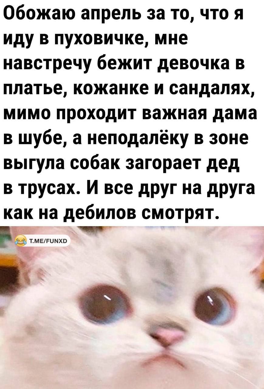 Обожаю апрель за то что я Иду В пуховичке мне навстречу бежит девочка в платье кожанке и сандалях мимо проходит важная дама в шубе а неподалёку в зоне выгула собак загорает дед в трусах И все друг на друга как на дебилов смотрят еще