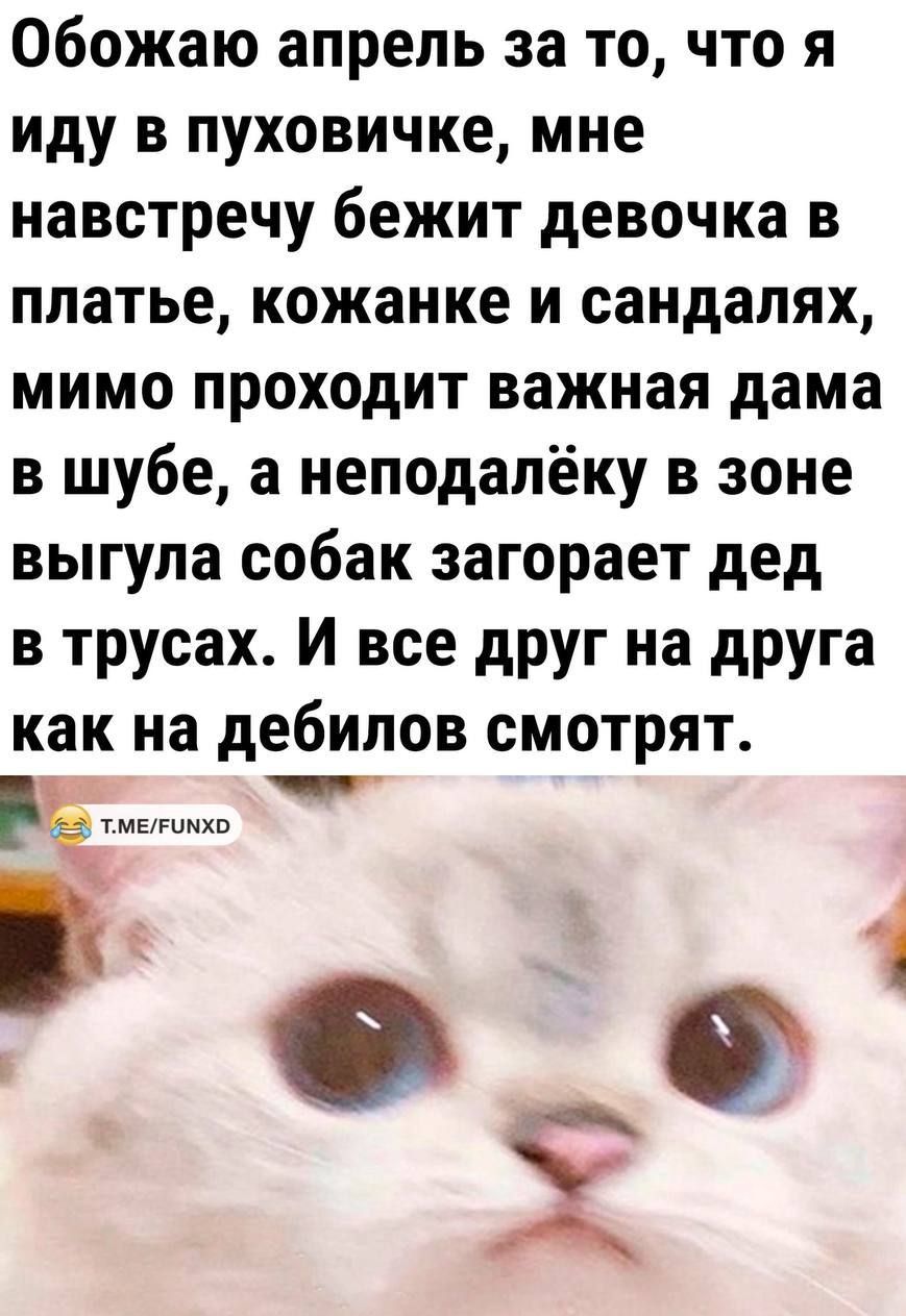 Обожаю апрель за то что я иду в пуховичке мне навстречу бежит девочка в платье кожанке и сандалях мимо проходит важная дама в шубе а неподалёку в зоне выгула собак загорает дед в трусах И все друг на друга как на дебилов смотрят ЁтмЕгиыхв О_Ф Х