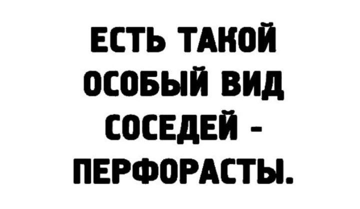 ЕСТЬ ТАКОЙ 0С05ЬЙ ВИД СОСЕДЕЙ ПЕРФОРАСТЫ