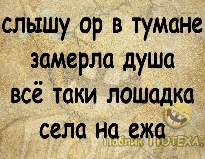 слышу ор в тумане замерла душа всё Таки лошадка сапа на ежаё