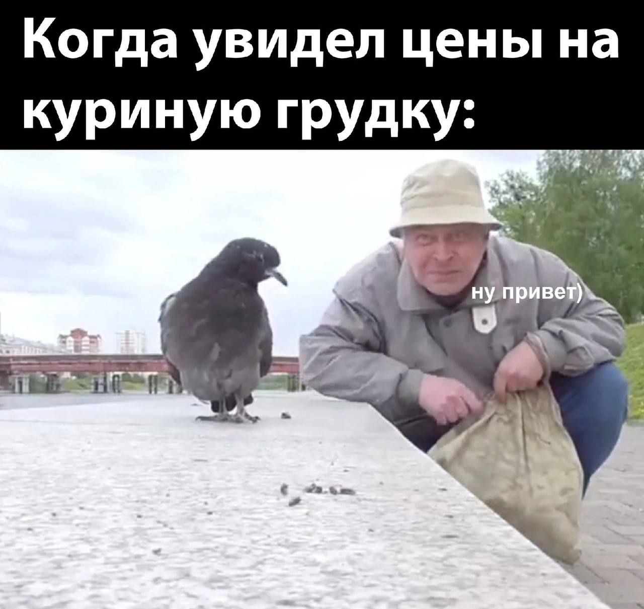 Когда увидел цены на кУРУю ГРУдКУ _