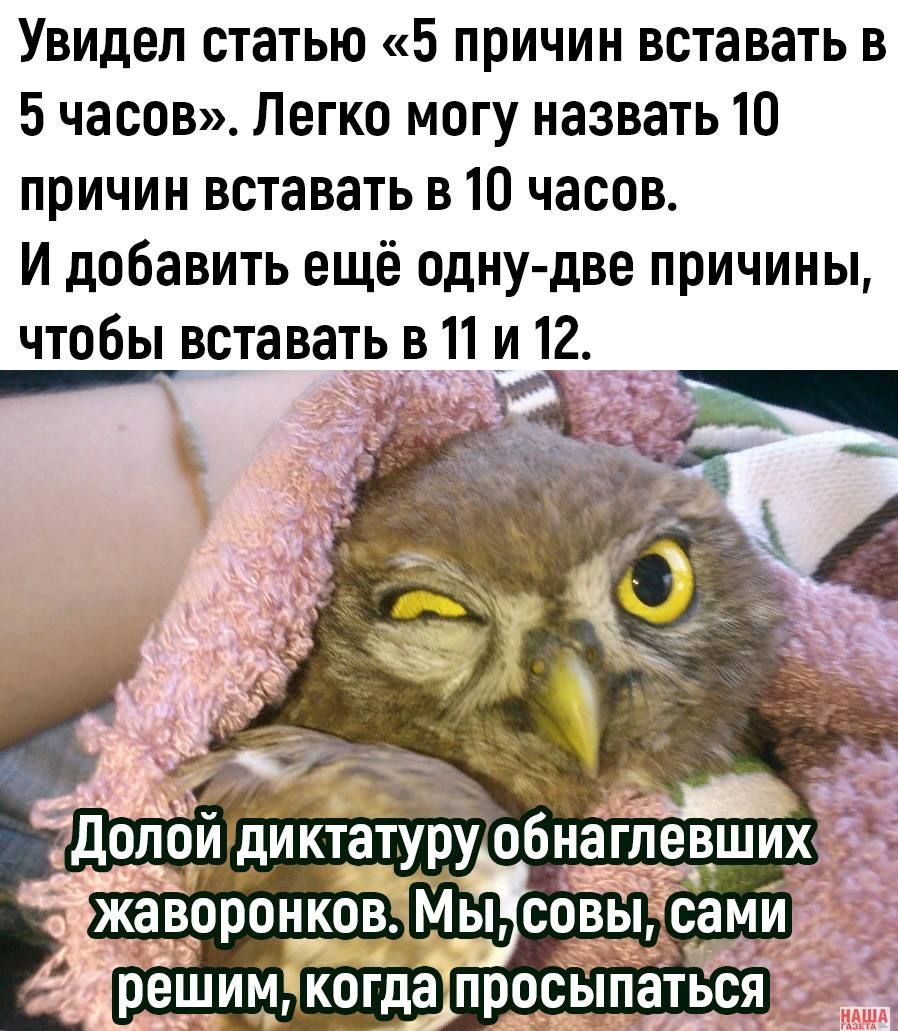 Увидел статью 5 причин вставать в 5 часов Легко могу назвать 10 причин вставать в 10 часов И добавить ещё одну две причины чтобы вставать в 11 и 12 решим когда просыпаться