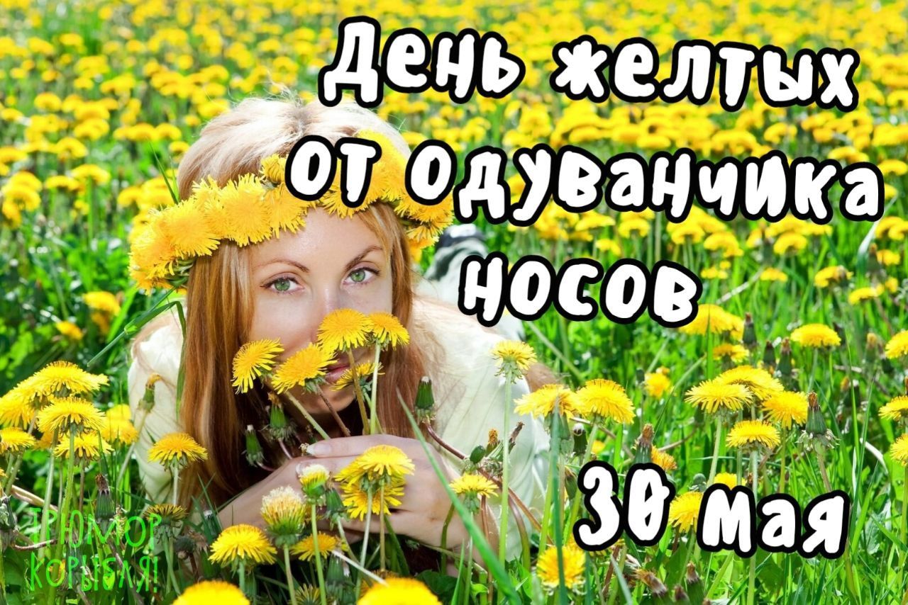 день желтых __ Одуванчцка