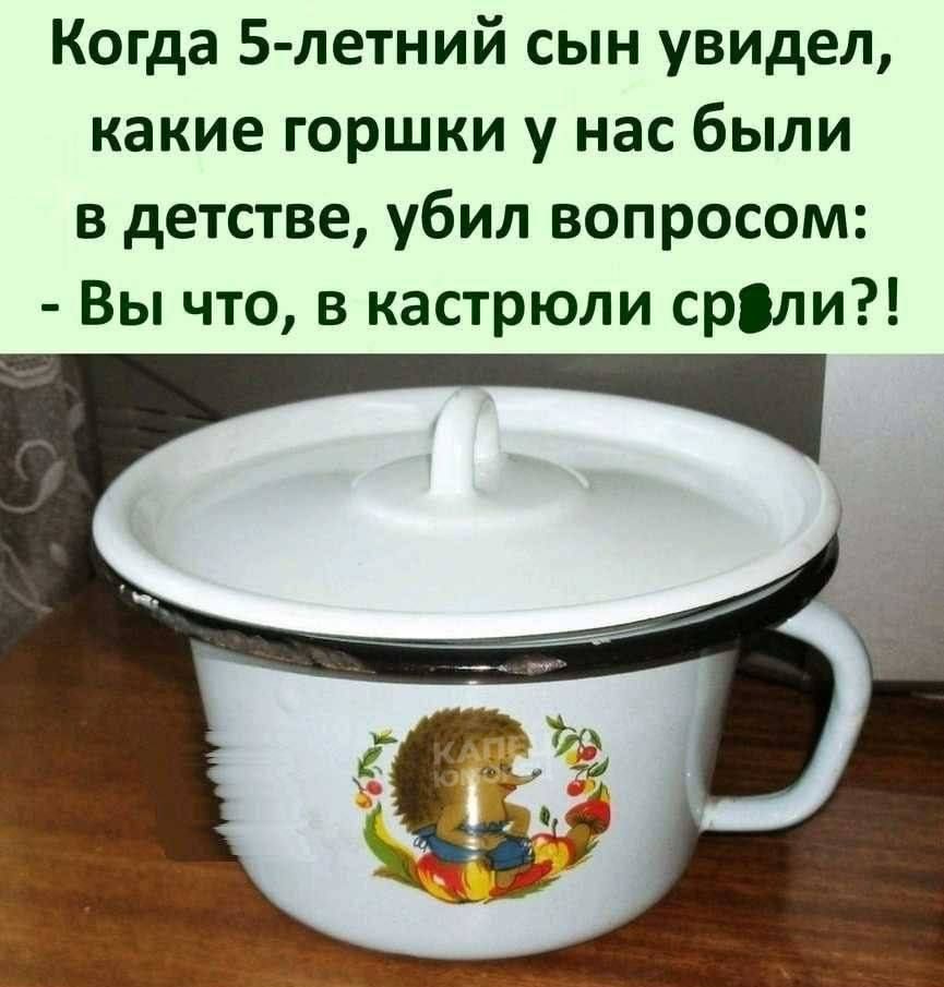 Когда 5 летний сын увидел какие горшки у нас были в детстве убил вопросом Вы что в кастрюли срли