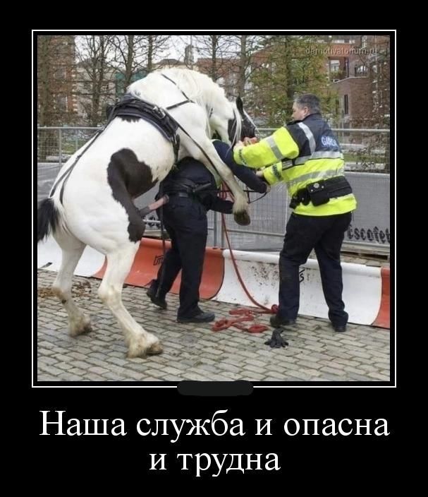 Наша служба и опасна и трудна