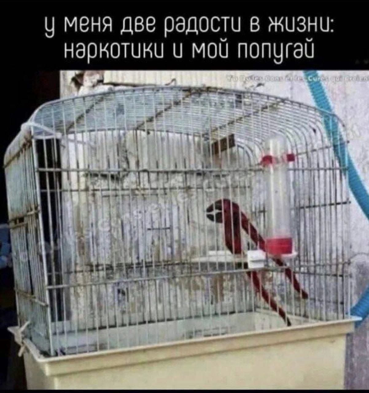 ч МВНЯ ДВЕ 181106111 В ЖЦЗЁЦ НВРКОТЦКЦ Ц МОН ПОПЦГЗЦ пмрёт чпи _ ы _ ___ь