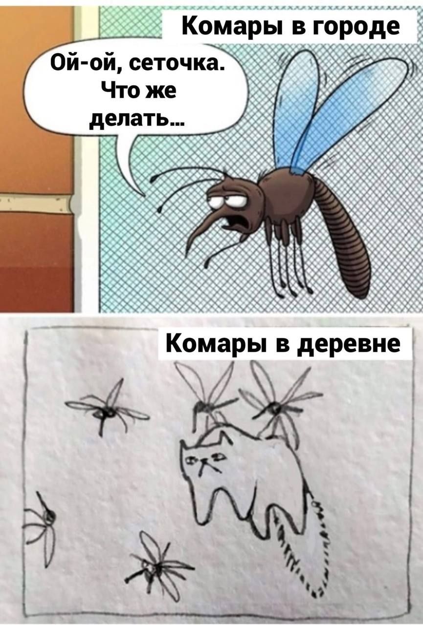 КомарьЬЪЪЬЬЬдь Ой ой сеточка Что же А