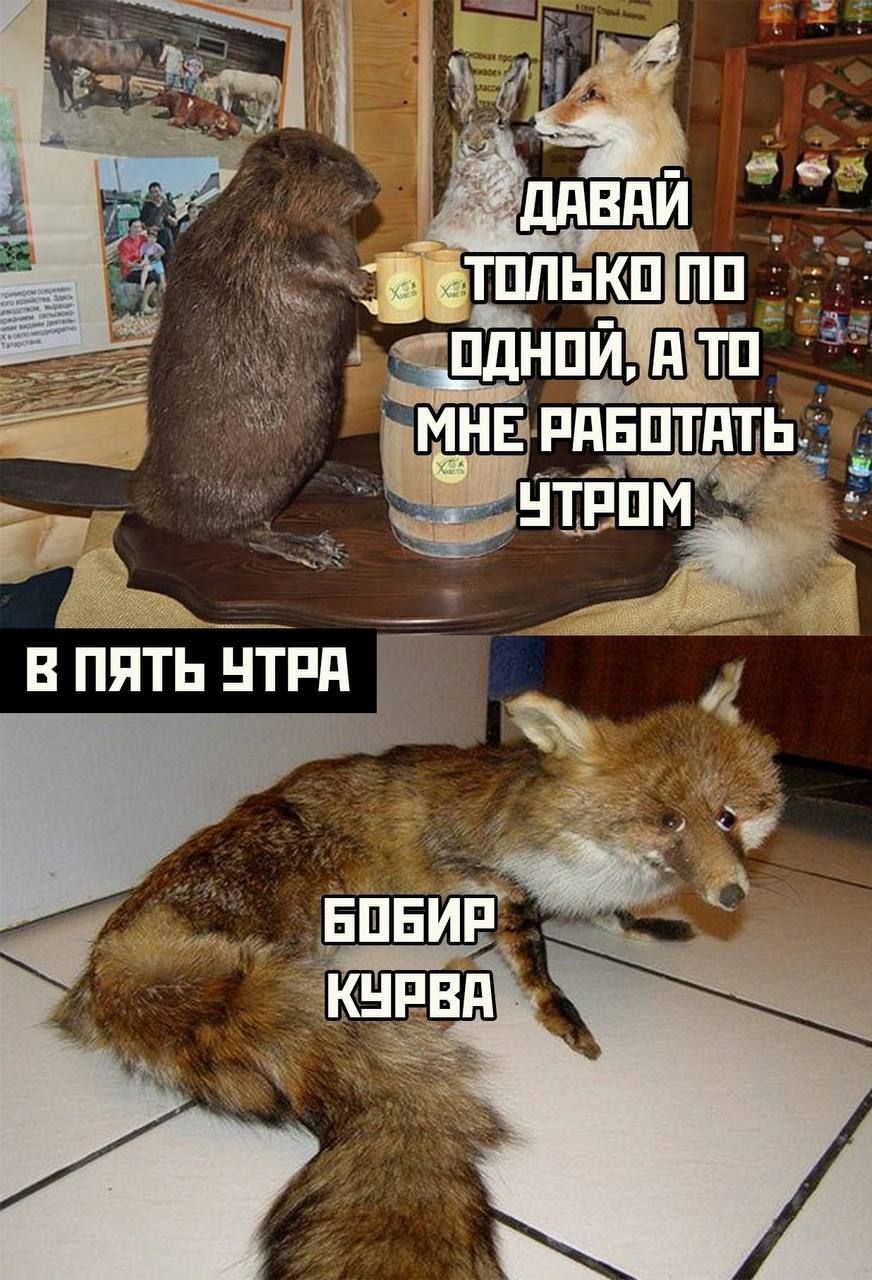 Ём и в пять нтпд _ 1