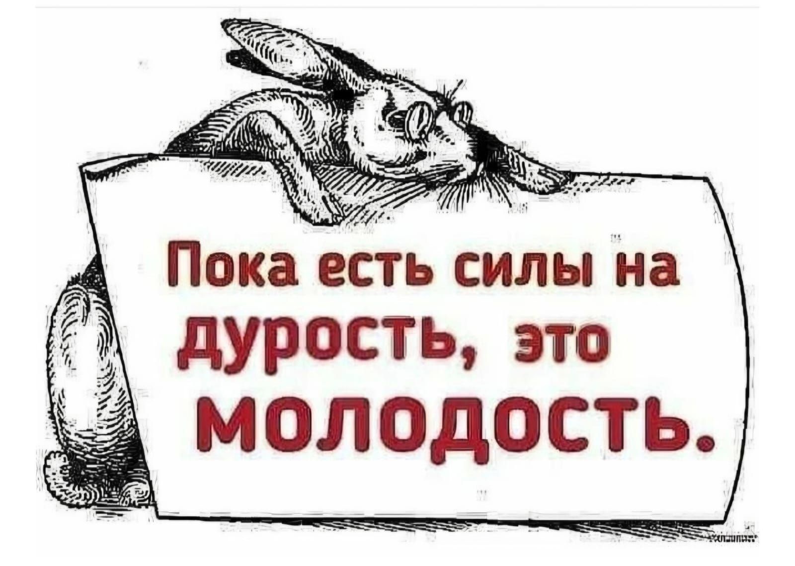 дурость это МОЛОДОСТЬ