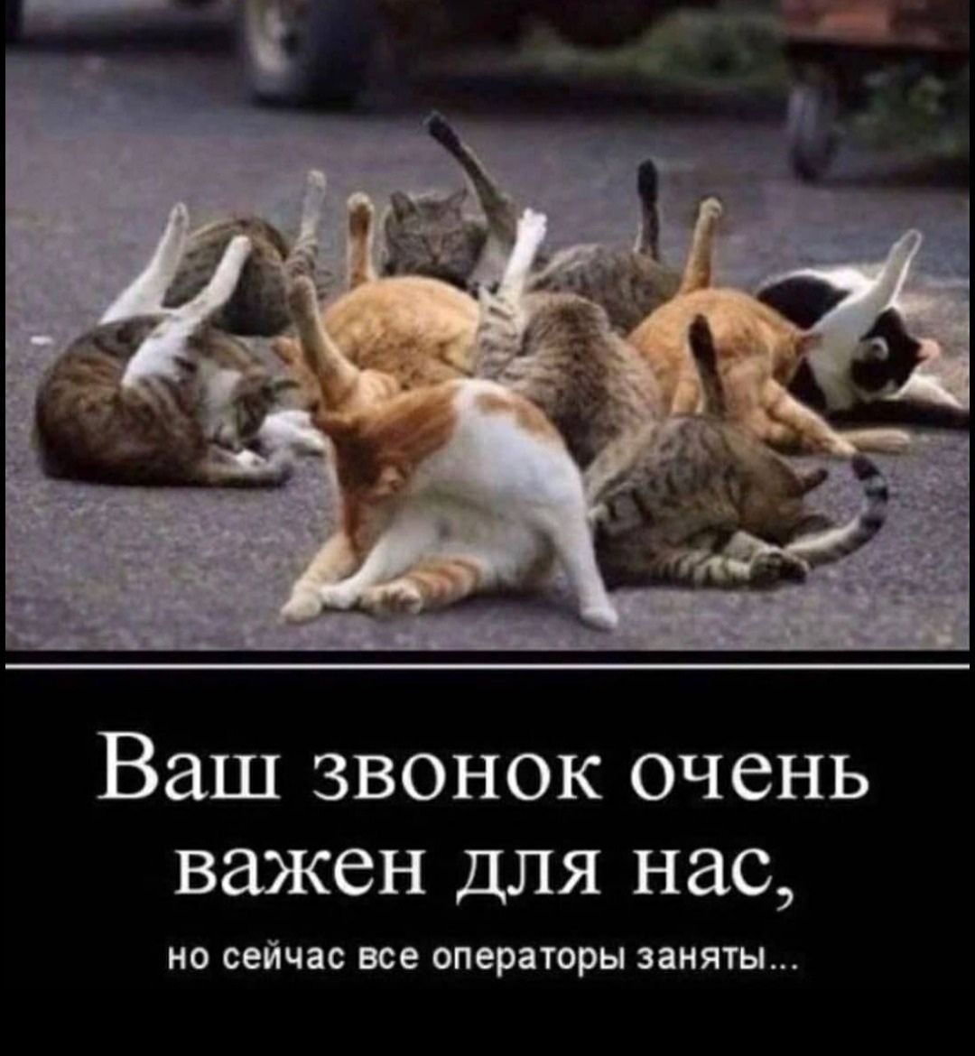 Ваш звонок очень важен для нас но сейчас все операторы заняты