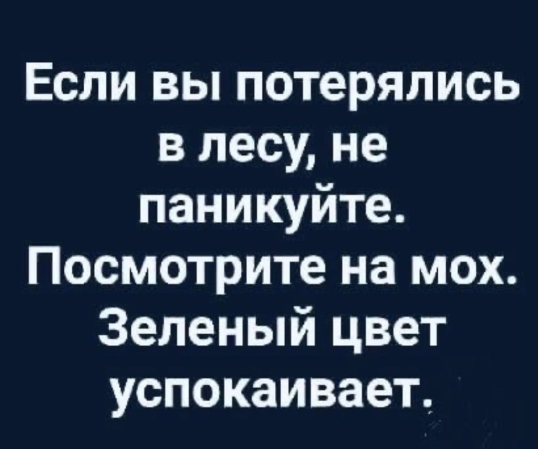 Если вы потерялись в лесу не паникуйте Посмотрите на мох Зеленый цвет успокаивает
