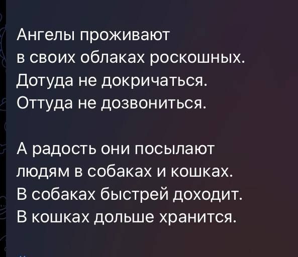 Ангепы проживают в своих облаках роскошных Дотуда не докричаться Оттуда не дозвониться А радость они посыпают людям в собаках и кошках В собаках быстрей доходит В кошках дольше хранится