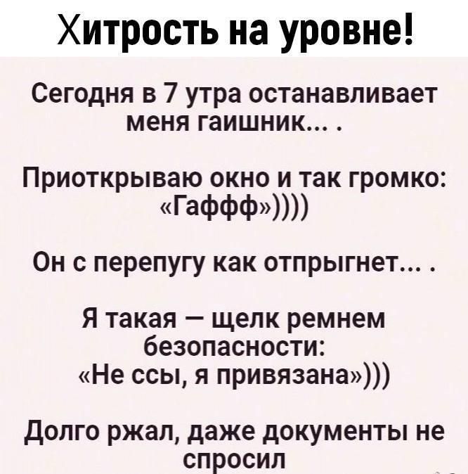 Хитрость на уровне Сегодня в 7 утра останавливает меня гаишник Приоткрываю окно и так громко Гаффф Он с перепугу как отпрыгнет Я такая щелк ремнем безопасности Не ссы я привязана Долго ржал даже документы не спросил