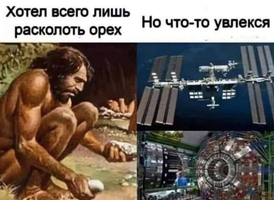 Хотел всего лишь расколоть орех Но что то увлекся